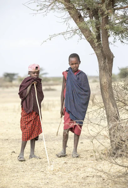 坦桑尼亚阿鲁沙 2019年9月7日 马西男孩在家乡外 在草原的风景 — 图库照片