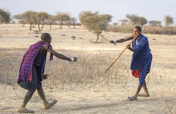 Arusha Tanzania September 2019 Maasai Krijgers Beoefenen Schermen Masai Stijl — Stockfoto