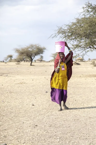 坦桑尼亚阿鲁沙 2019年9月7日 马赛妇女头上有水桶 — 图库照片