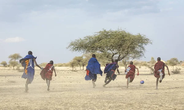 Arusha Tanzânia Setembro 2019 Guerreiros Maasai Jogando Futebol Savana — Fotografia de Stock