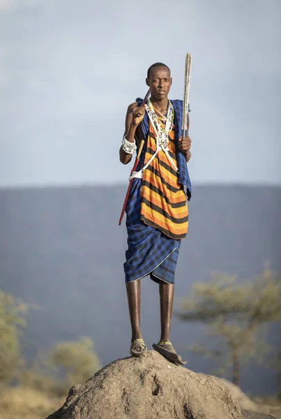 Arusha Tanzania 7Th September 2019 Portrait Young Maasai Warrior — Stock Photo, Image