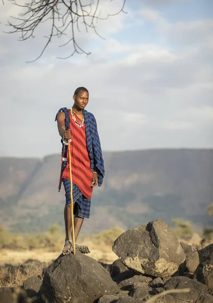 Arusha Tanzania 7Th September 2019 Portrait Young Maasai Warrior — Stock Photo, Image