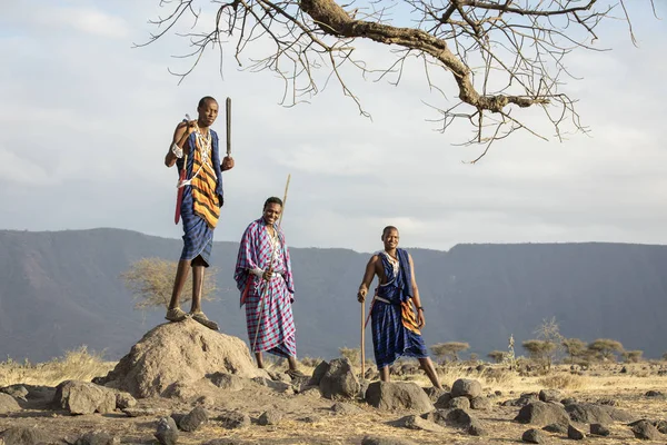 Arusha Tanzanie Září 2019 Portrét Mladého Masajská Bojovníka — Stock fotografie