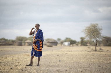 Arusha, Tanzanya, 7 Eylül 2019: Maasai savaşçıları bir savanada yürüyor
