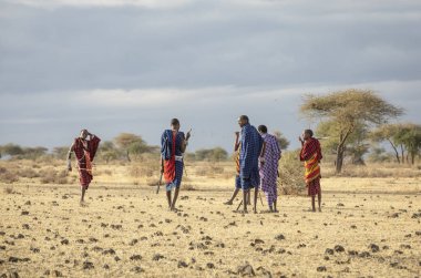 Arusha, Tanzanya, 7 Eylül 2019: maasai warriers bir savana yürüyüş