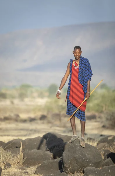 Arusha Tanzania 7Th September 2019 Portrait Young Maasai Warrior — Stock Photo, Image