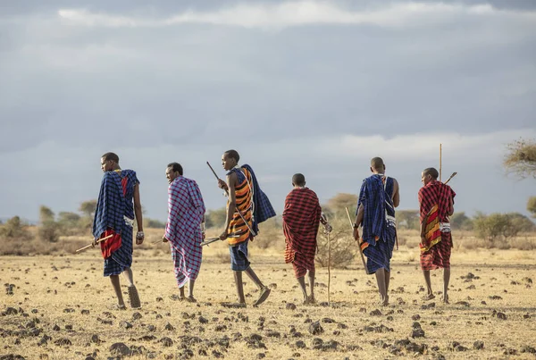 Αρούσα Τανζανία 7Th Σεπτεμβρίου 2019 Πολεμιστές Των Μασάι Περπατούν Μια — Φωτογραφία Αρχείου