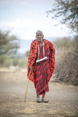Arusha, Tanzanya, 10 Eylül 2019: geleneksel kıyafetiyle maasai büyüğü