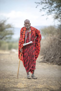 Arusha, Tanzanya, 10 Eylül 2019: geleneksel kıyafetiyle maasai büyüğü