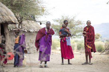 Arusha, Tanzanya, 10 Eylül 2019: maasai ailesi evlerinde boma (köy)
