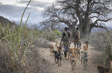 göl ayasi, Tanzanya, 11 Eylül 2019: Hadzabe adam bir sabah ava gidiyor