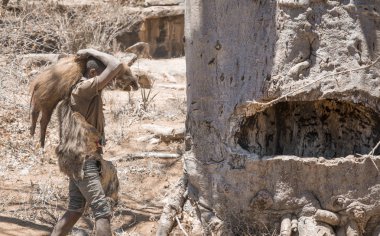 Lake Eyasi, Tanzanya, 11 Eylül 2019: Bir av gezisinden dönen Hadzabe adam, bir yaban domuzu yakalayıp öldürdü