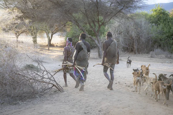 2019년 11일 탄자니아 아야시 아침에 사냥하러 하드자베 — 스톡 사진