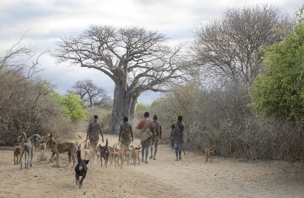 Lake Ayasi Tanzania 11E September 2019 Hadzabe Man Gaan Voor — Stockfoto