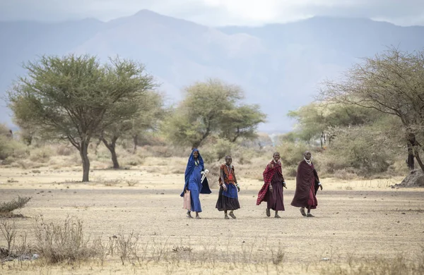 Аруша Танзанія Вересня 2019 Масаї Дами Ландшафт Північної Танзанії — стокове фото
