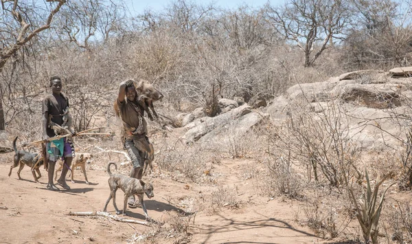 See Eyasi Tansania September 2019 Hadzabe Mann Kehrt Von Einem — Stockfoto