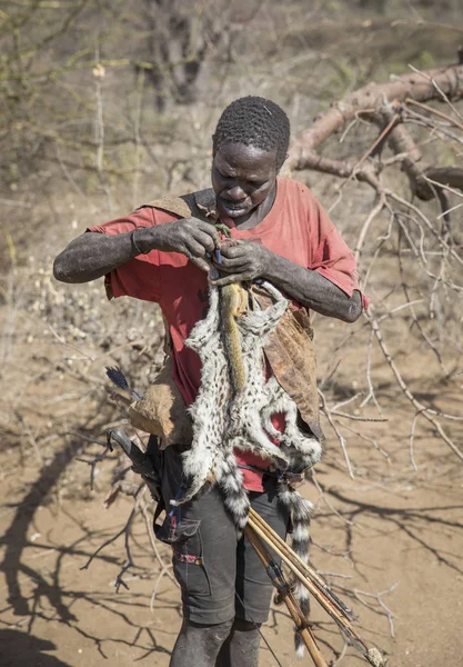 Lake Eyasi Tanzania 11Th September 2019 Hadzabe Man Hunting Caught — Stock Photo, Image