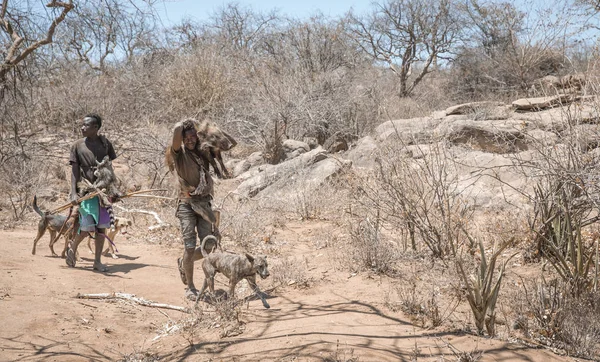 Lac Eyasi Tanzanie Septembre 2019 Homme Hadzabe Revenant Voyage Chasse — Photo