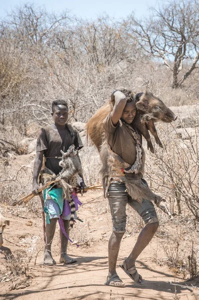 See Eyasi Tansania September 2019 Hadzabe Mann Kehrt Von Einem — Stockfoto