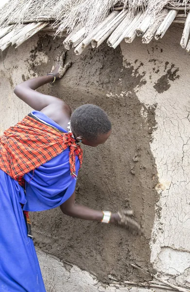 Arusha Tanzanya Eylül 2019 Masai Kadın Evinin Duvarlarını Onarıyor — Stok fotoğraf