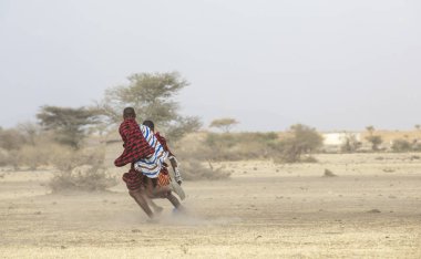 Arusha, Tanzanya, 7 Eylül 2019: Maasai savaşçıları savannah'da futbol oynuyor