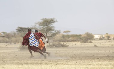 Arusha, Tanzanya, 7 Eylül 2019: Maasai savaşçıları savannah'da futbol oynuyor