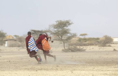 Arusha, Tanzanya, 7 Eylül 2019: Maasai savaşçıları savannah'da futbol oynuyor