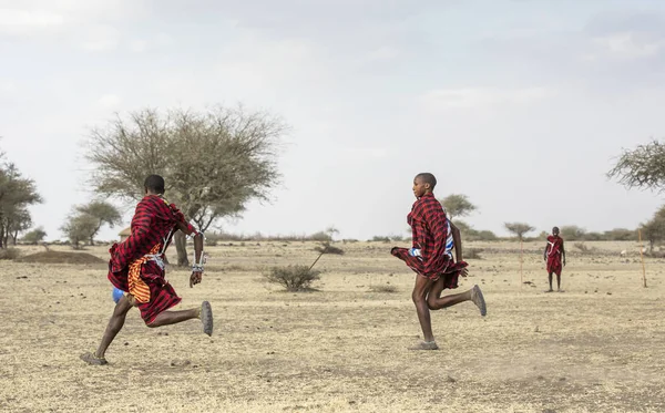 Arusha Tanzânia Setembro 2019 Guerreiros Maasai Jogando Futebol Savana — Fotografia de Stock