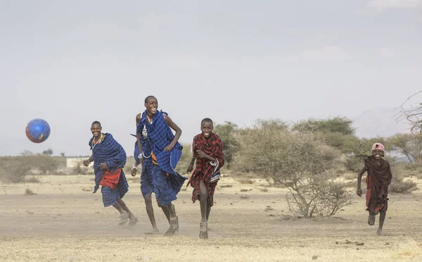 Arusha, Tanzanya, 7 Eylül 2019: Maasai savaşçıları savannah'da futbol oynuyor