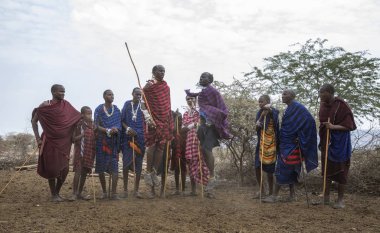 Arusha, Tanzanya, 7 Eylül 2019: Masai savaşçıları bayanları etkilemek için atlıyorlar