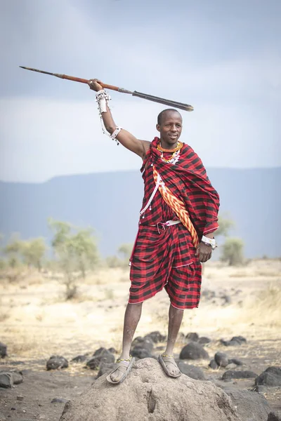 Arusha Tanzánia 2019 Szeptember Maasai Harcos Észak Tanzániai Szavanna Tájain — Stock Fotó