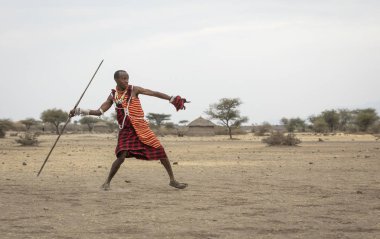 Arusha, Tanzanya, 8 Eylül 2019: Masai adam mızrak fırlatıyor