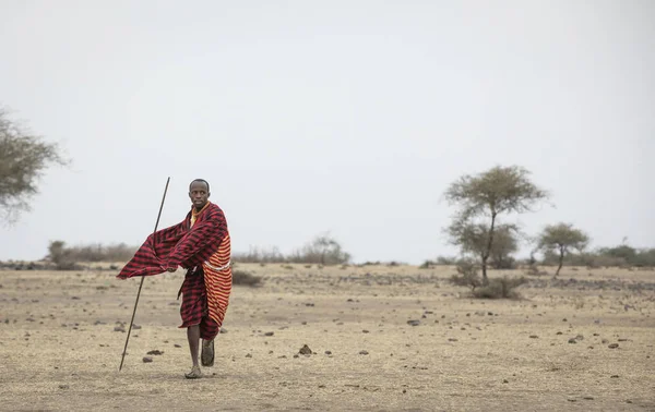 Arusha Tanzania September 2019 Maasai Man Gooit Speer — Stockfoto