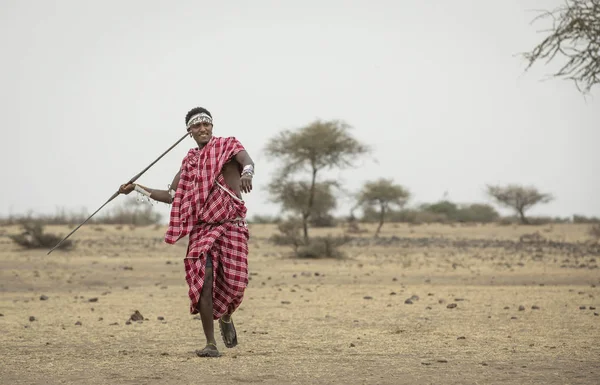 Arusha Tanzania 8Th September 2019 Maasai Man Throwing Spear — ストック写真