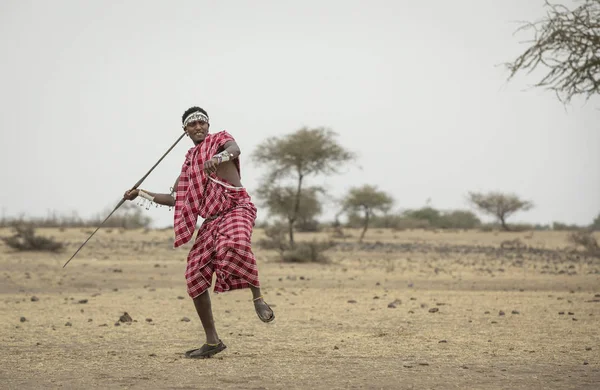 Arusha Tanzanie Septembre 2019 Maasai Lance Une Lance — Photo