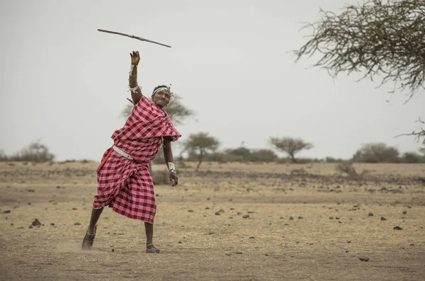 2019年9月8日 坦桑尼亚阿鲁沙 马赛人投掷长矛 — 图库照片