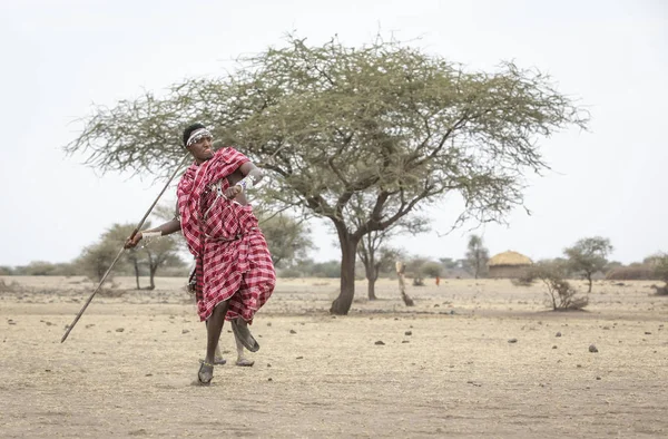 Arusha Tanzania 8Th September 2019 Maasai Man Throwing Spear — ストック写真