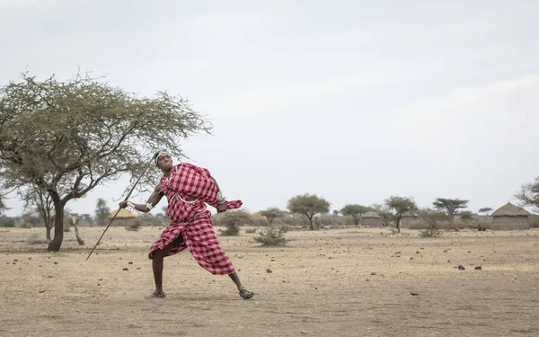 Arusha Τανζανία Σεπτεμβρίου 2019 Maasai Man Throwing Spear — Φωτογραφία Αρχείου