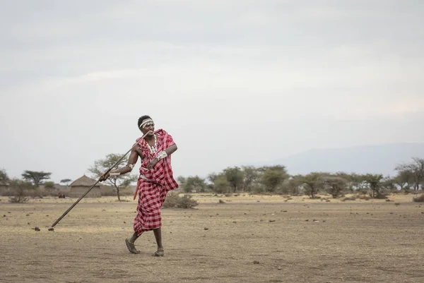 Arusha Tanzania 8Th September 2019 Maasai Man Throwing Spear — ストック写真