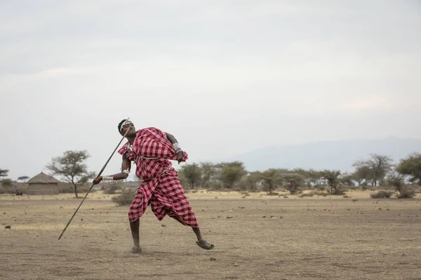 Arusha Tanzania 8Th September 2019 Maasai Man Throwing Spear — Stock Photo, Image