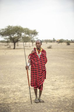 Arusha, Tanzanya, 8 Eylül 2019: Masai adam mızrak fırlatıyor
