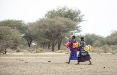 Arusha, Tanzanya, 8 Eylül 2019: Bir kuyudan su getirmek için elinde su kabıyla savanda yürüyen maasai kadınları