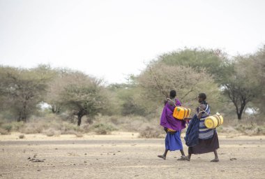 Arusha, Tanzanya, 8 Eylül 2019: Bir kuyudan su getirmek için elinde su kabıyla savanda yürüyen maasai kadınları