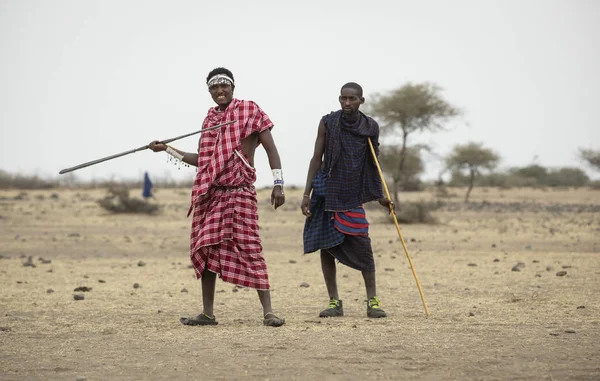 Arusha Tanzania 8Th September 2019 Maasai Man Throwing Spear — ストック写真