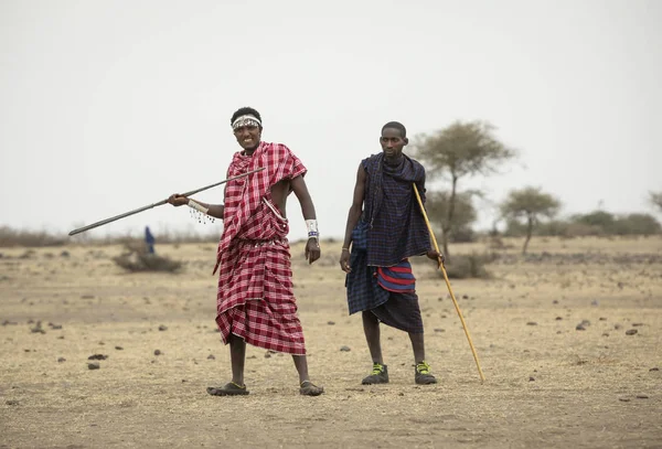 Arusha Τανζανία Σεπτεμβρίου 2019 Maasai Man Throwing Spear — Φωτογραφία Αρχείου