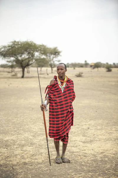 Arusha Tanzanya Eylül 2019 Masai Adam Mızrak Fırlatıyor — Stok fotoğraf