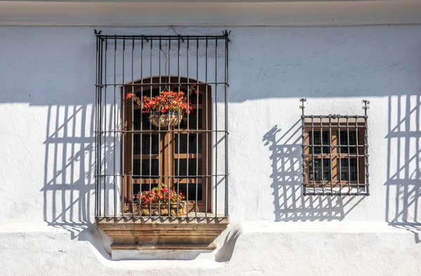 Blommor Ett Fönster Ett Kolonialhus Antigua Guatemala — Stockfoto