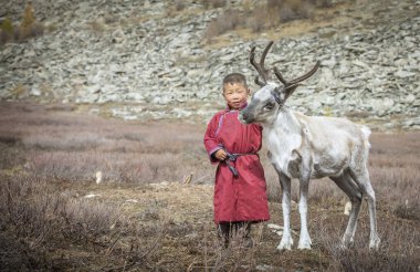 Kuzey Moğol topraklarında bir bebek ren geyiğiyle Tsaatan çocuğu