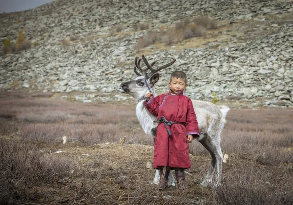 Tsaatan Kind Noord Mongoolse Landschap Met Een Baby Rendier — Stockfoto