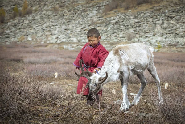 Tsaatan Dítě Severní Mongolsko Krajina Dítětem Sobů — Stock fotografie